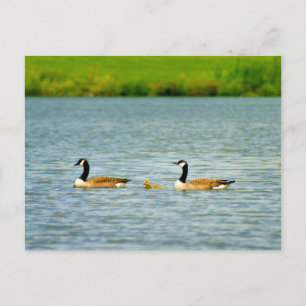 Familie van drie briefkaart