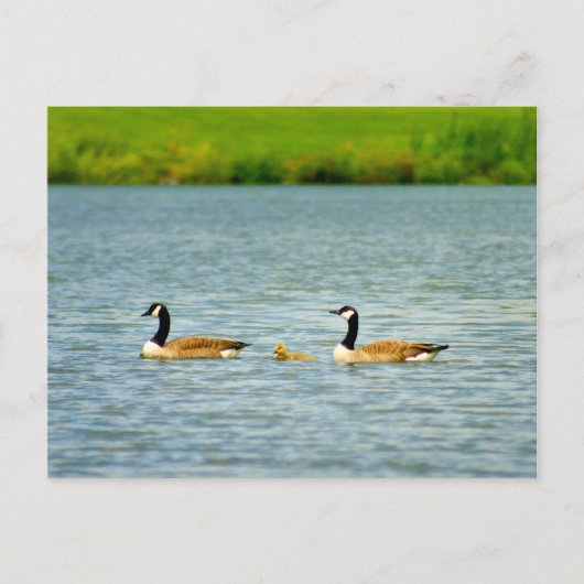 Familie van drie briefkaart (Voorkant)