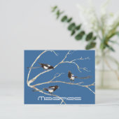 Familie van eksters, Vogels, Natuur, Wildlife Briefkaart (Staand voorkant)