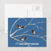 Familie van eksters, Vogels, Natuur, Wildlife Briefkaart (Voorkant / Achterkant)