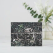 Familie van Herons... Briefkaart (Staand voorkant)