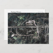 Familie van Herons... Briefkaart (Voorkant / Achterkant)