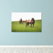 Familie van het paard in het veld canvas afdruk (Insitu (Houten vloer))