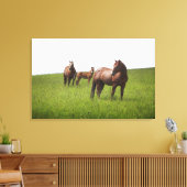 Familie van het paard in het veld canvas afdruk (Insitu (Woonkamer))