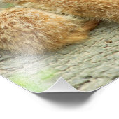 Familie van kratten - Foto Foto Afdruk (Hoek)