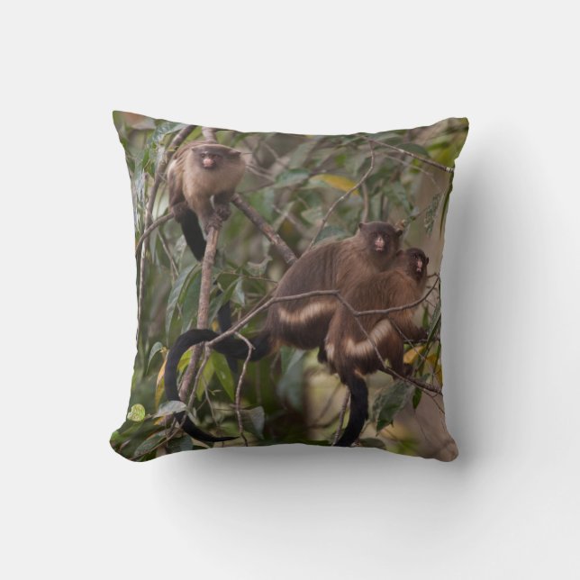 Familie van Marmoset-apen Kussen (Voorkant)