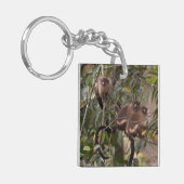 Familie van Marmoset-apen Sleutelhanger (Voorkant Links)