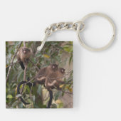 Familie van Marmoset-apen Sleutelhanger (Achterkant)