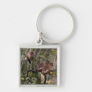 Familie van Marmoset-apen Sleutelhanger