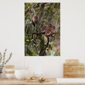 Familie van Marmoset Monkeys Poster (Keuken)