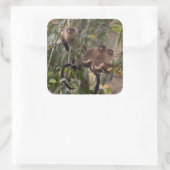 Familie van Marmoset Monkeys Vierkante Sticker (Tas)