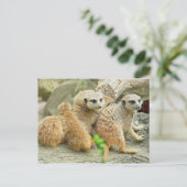 Familie van meerkats - Briefkaart (Staand voorkant)