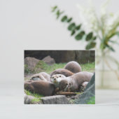 Familie van otters-briefkaart briefkaart (Staand voorkant)