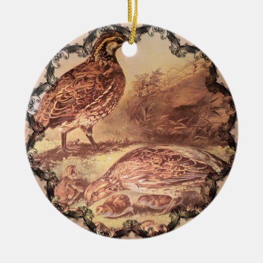 Familie van Quail Ornament (Voorkant)