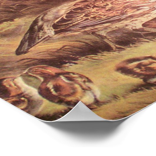 Familie van Quail Poster (Hoek)