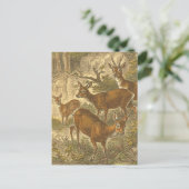 Familie van Roe - Deers in een bos Briefkaart (Staand voorkant)