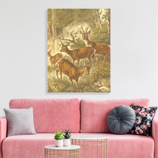 Familie van Roe - Deers in een bos Canvas Afdruk (Insitu (Woonkamer))