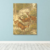 Familie van Roe - Deers in een bos Canvas Afdruk (Insitu (Houten vloer))
