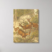 Familie van Roe - Deers in een bos Canvas Afdruk (Voorkant)