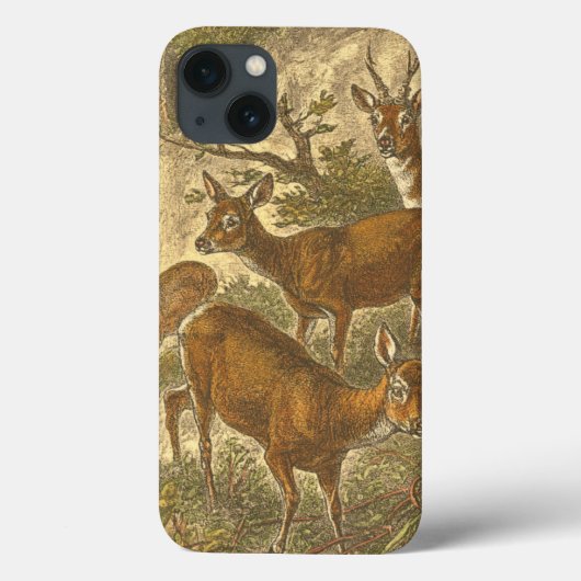 Familie van Roe - Deers in een bos Case-Mate iPhone Case (Achterkant)