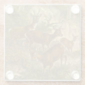 Familie van Roe - Deers in een bos Glazen Onderzetter (Achterkant)