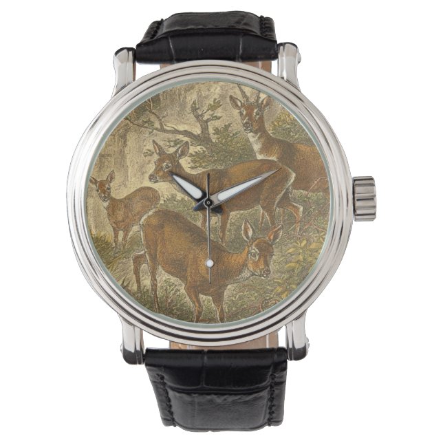 Familie van Roe - Deers in een bos Horloge (Voorkant)