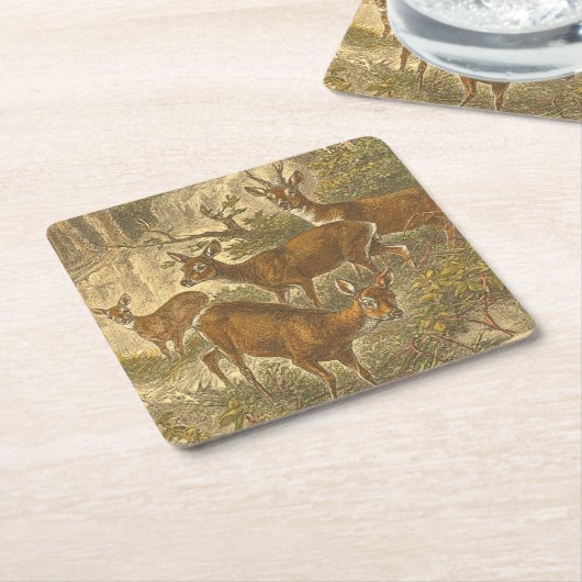 Familie van Roe - Deers in een bos Kartonnen Onderzetters (Schuin)