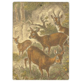 Familie van Roe - Deers in een bos Klembord (Achterkant)