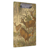 Familie van Roe - Deers in een bos Klembord (Rechts)
