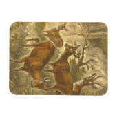 Familie van Roe - Deers in een bos Magneet (Horizontaal)
