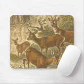 Familie van Roe - Deers in een bos Muismat (Met muis)