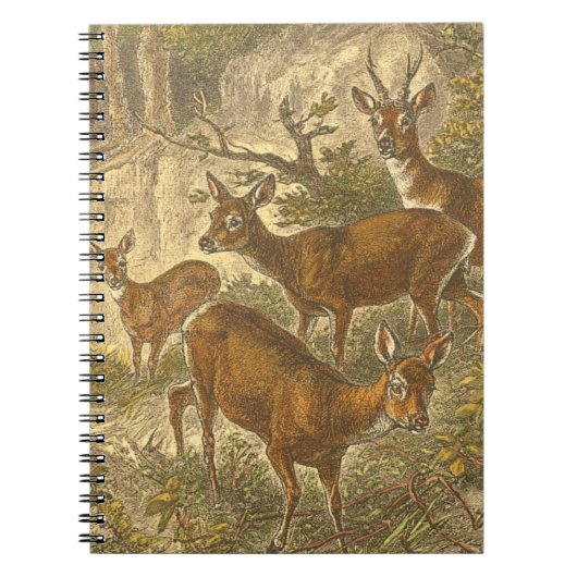 Familie van Roe - Deers in een bos Notitieboek (Voorkant)