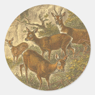 Familie van Roe - Deers in een bos Ronde Sticker