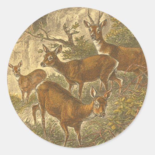 Familie van Roe - Deers in een bos Ronde Sticker (Voorkant)