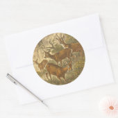 Familie van Roe - Deers in een bos Ronde Sticker (Envelop)
