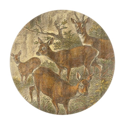 Familie van Roe - Deers in een bos Snijplank (Voorkant)