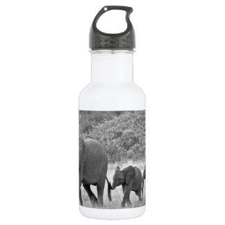 Familie van Zuid-Afrikaanse olifanten Waterfles