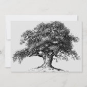 Familieboom, ankerboog, grijs aankondiging (Voorkant)