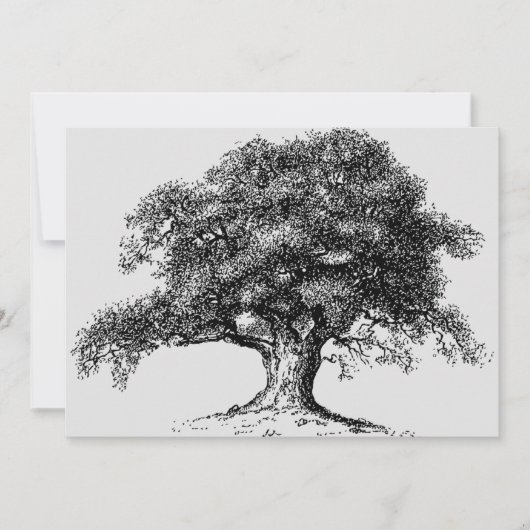 Familieboom, ankerboog, grijs aankondiging (Voorkant)