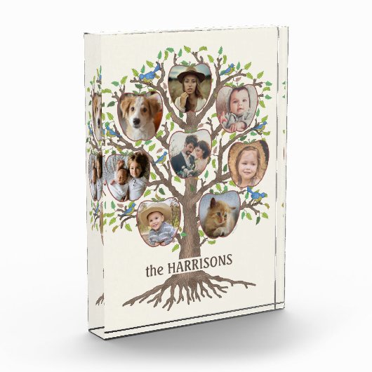 Familieboom Collage 8 Afbeeldingen Naam Lt Beige Fotoblokken (Links)