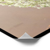 Familieboom Witte bloesems Foto | Sunset Poster (Hoek)