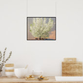 Familieboom Witte bloesems Foto | Sunset Poster (Keuken)