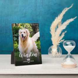 Familiehuisdier Foto Herinnering Aandenken Pootafd Fotoplaat