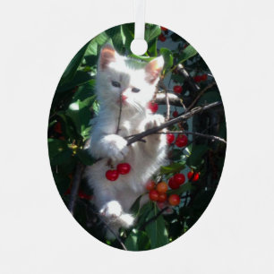 Familiekat Aandenken Foto Metalen Ornament