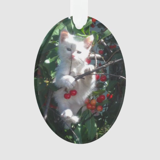 Familiekat Aandenken Foto Ornament (voorkant)