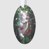 Familiekat Aandenken Foto Ornament (voorkant)