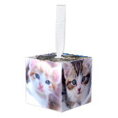 Familiekat Foto's Decoratie (Voorkant hoekig)