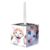 Familiekat Foto's Decoratie (Achter hoekig)