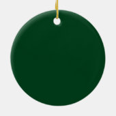 Familienaam Lake House Trees Forest Green Keramisch Ornament (Achterkant)