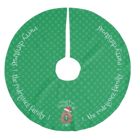 Familienaam Santa Gift Giving Armadillo Texas Kerstboom Rok (Voorkant)